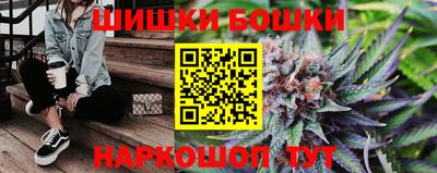 дмт Гатчина