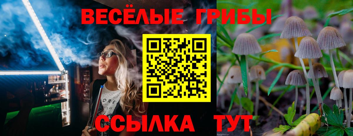 Галлюциногенные грибы мицелий Гуково